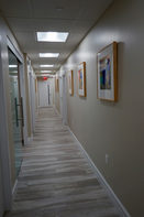 Chiropractic Clinic Picture - Chiropractor Picture