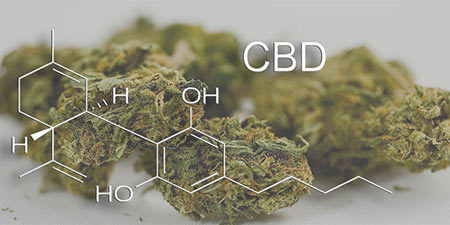 Medical Marijuana for Chronic Pain